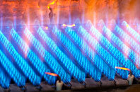 Nanternis gas fired boilers
